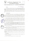 Vista preliminar de documento rdr-056-2020-gore-ica-grde-direpro