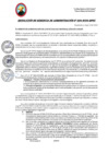 Vista preliminar de documento RGA294-2024