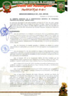 Vista preliminar de documento RESOLUCION GERENCIAL N° 067-2025-...
