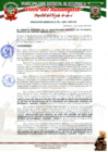 Vista preliminar de documento RESOLUCION GERENCIAL N° 081-2025-...