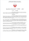 Vista preliminar de documento RD 351-2025 - ASCENSO - LLAMOCTANTA ARIAS LOURDES PATRICIA