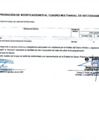 Vista preliminar de documento Modificaciones al Cuadro Multianual de Necesidades N° 019-2024
