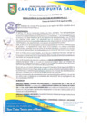Vista preliminar de documento RESOLUCION DE ALCALDIA N° 486-08-2023-MDCPS-ALC