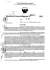 Vista preliminar de documento RDR 0271-2025