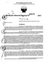 Vista preliminar de documento RDR 0272-2025