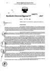 Vista preliminar de documento RDR 0275-2025
