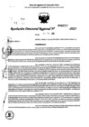 Vista preliminar de documento RDR 0277-2025