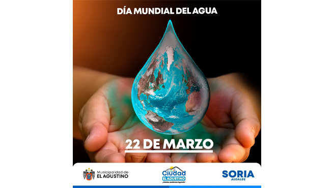 Esta celebración se estableció con la finalidad de tomar conciencia sobre su cuidado e importancia en la preservación de los seres vivos.