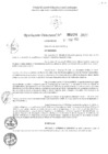 Vista preliminar de documento 1454