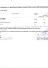 Vista preliminar de documento ANEXO Nº 06.APROBACIÓN DE MODIFICACIONES AL CUDRO MULTIANUAL DE NECESIDADES N° 00000005
