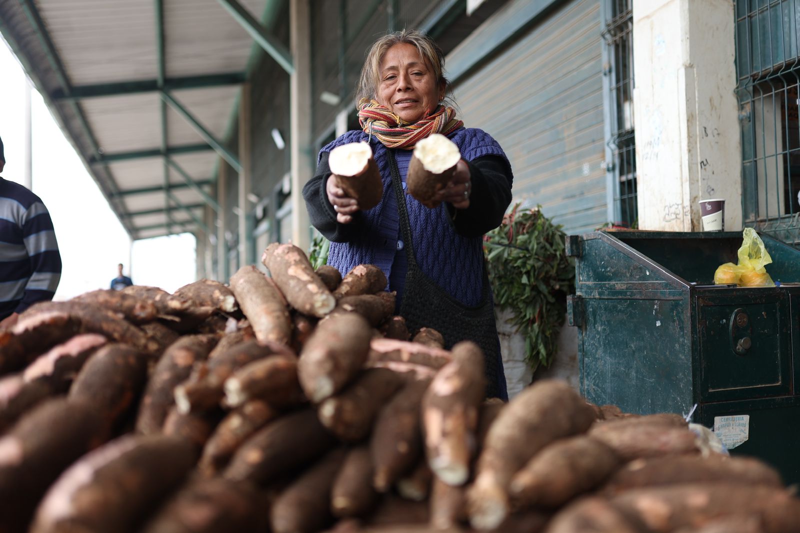Hoy en los mercados mayoristas tenemos ofertas de arveja, haba, yuca, melón, naranja, palta y otros