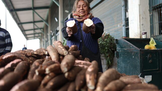 Hoy en los mercados mayoristas tenemos ofertas de arveja, haba, yuca, melón, naranja, palta y otros