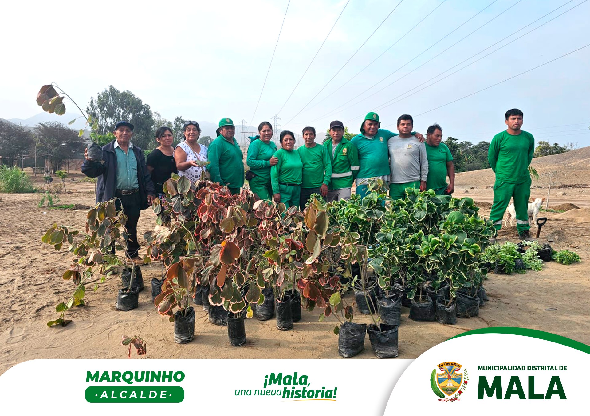 Programa de Arborización
