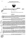 Vista preliminar de documento RDR 0283-2025