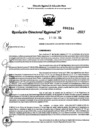 Vista preliminar de documento RDR 0284-2025