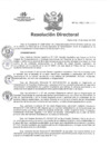 Vista preliminar de documento RD N°061-2025