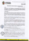 Vista preliminar de documento RGM - 481-2023
