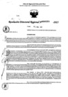 Vista preliminar de documento RDR 0285-2025
