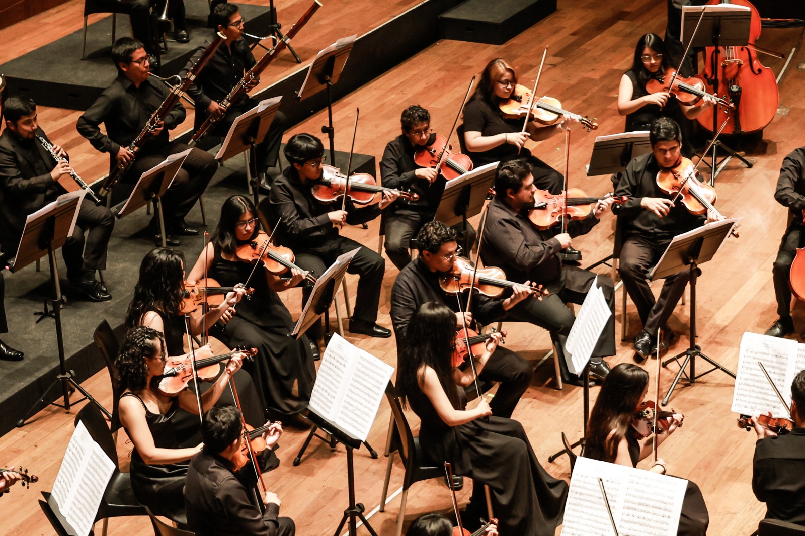 La Orquesta Sinfónica Nacional Juvenil Bicentenario presentará concierto “Sibelius”