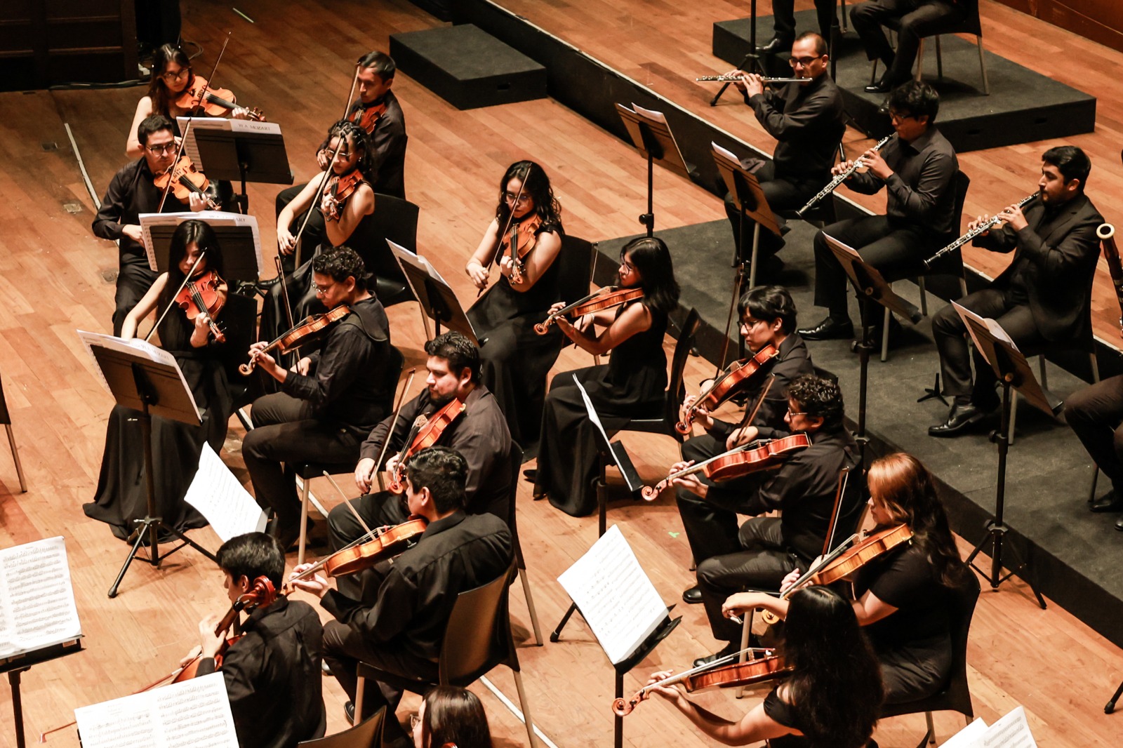 La Orquesta Sinfónica Nacional Juvenil Bicentenario presentará concierto “Sibelius”