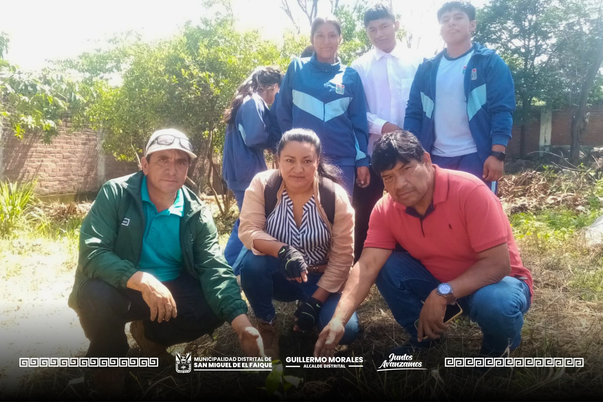 Siembra de plantas