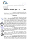 Vista preliminar de documento Resolucion Directoral N° 002247-2025