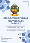 Vista preliminar de documento SEGUIMIENTO PEI  ANUAL 2024 