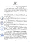 Vista preliminar de documento RER.171