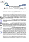 Vista preliminar de documento Resolucion Directoral N° 002251-2025