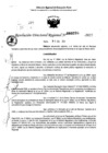 Vista preliminar de documento RDR 0295-2025