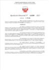 Vista preliminar de documento RD 384-2025 - ASCENSO - ORELLANO MALLQUI VILMA HAYDEE