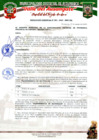 Vista preliminar de documento RESOLUCION GERENCIAL N° 084-2025-...