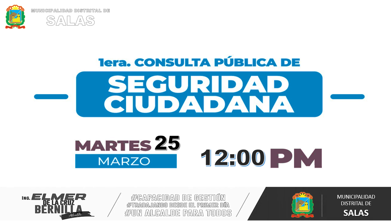 PRIMERA CONSULTA PUBLICA DE SEGURIDAD CIUDADANA - AÑO 2025