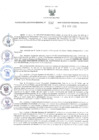 Vista preliminar de documento RER.132