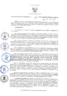Vista preliminar de documento RER.119