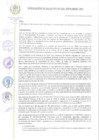 Vista preliminar de documento RA 191-2024