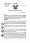 Vista preliminar de documento RD-065-2025-DG-INCN