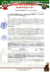 Vista preliminar de documento RESOLUCION GERENCIAL N° 080-2025-...