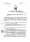 Vista preliminar de documento RD N°017-2025-HNCH-DG