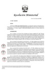 Vista preliminar de documento RM N° 00311-2025-DE (Aprobar la modificación del Informe Multianual de Inversiones)