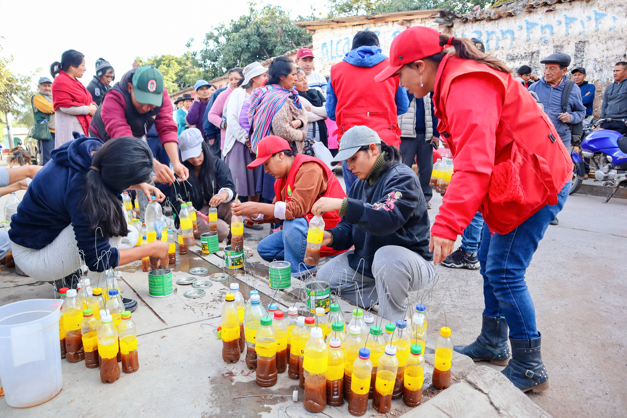 DRA Ayacucho impulsa fortalecimiento del sector agrario con 12 proyectos productivos