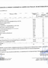 Vista preliminar de documento APROBACIÓN DE MODIFICACIONES DEL CUADRO MULTIANUAL DE NECESIDADES 2025 ANEXO N° 06 DEL 102 AL 119