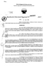 Vista preliminar de documento RDR 0303-2025