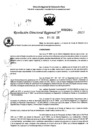 Vista preliminar de documento RDR 0305-2025