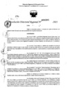 Vista preliminar de documento RDR 0306-2025