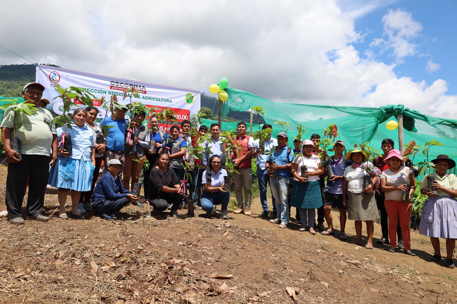 Proyecto Cacao y Café distribuyó 104 mil plantones de cacao para fortalecer el sector agrícola