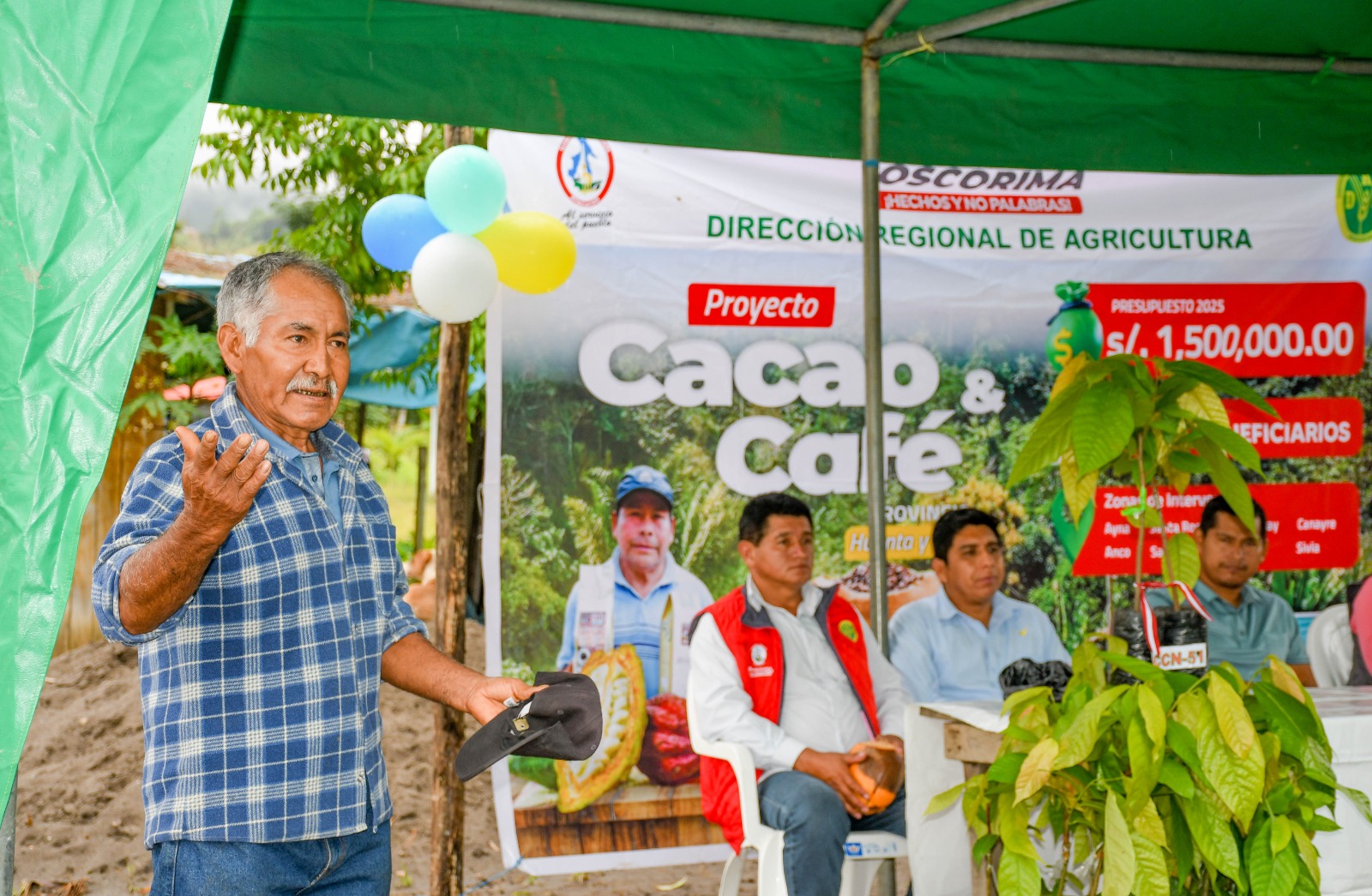 Proyecto Cacao y Café distribuyó 104 mil plantones de cacao para fortalecer el sector agrícola