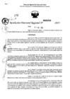Vista preliminar de documento RDR 0308-2025
