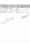 Vista preliminar de documento resultados preliminares