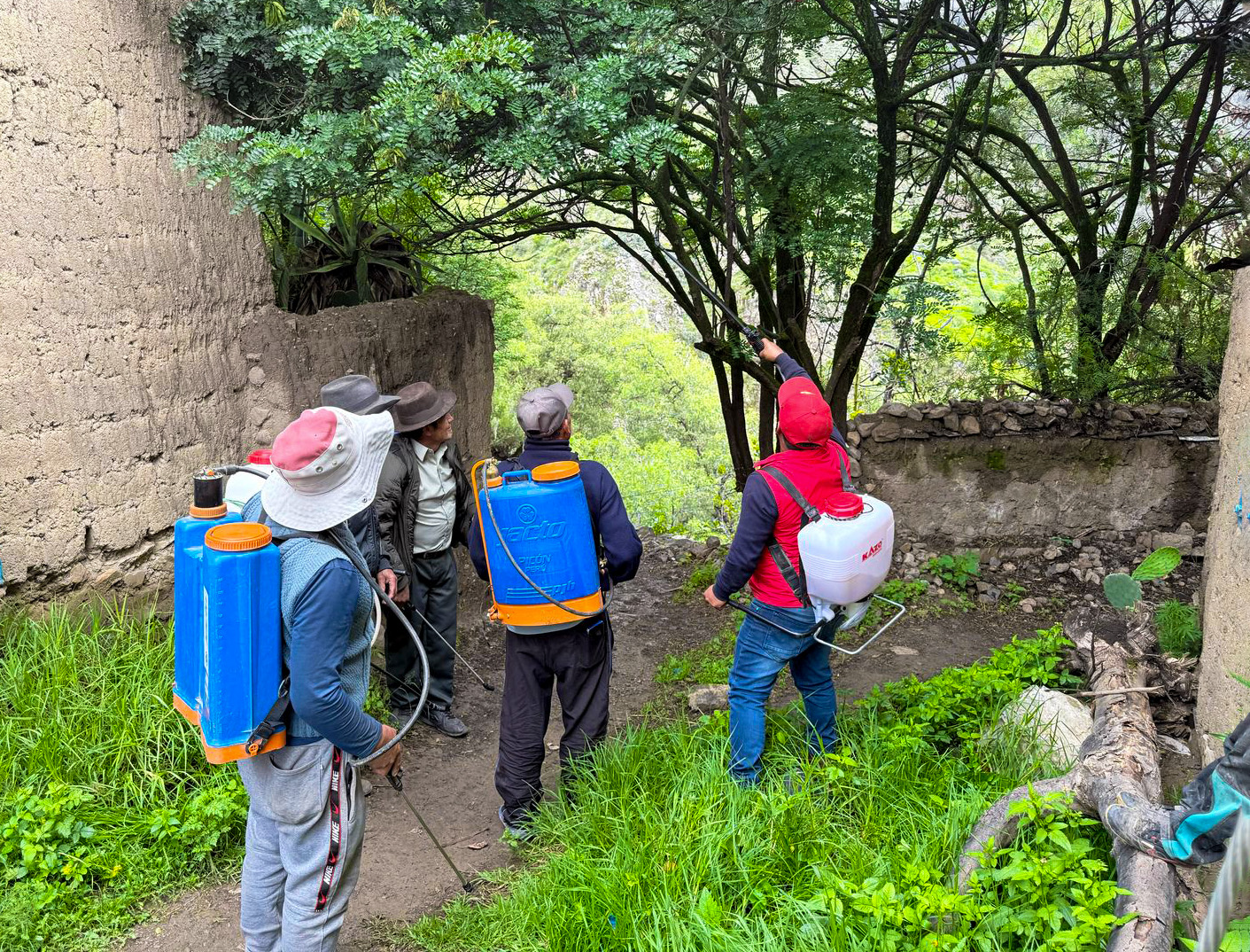 DRA Ayacucho y productores de 6 provincias unen esfuerzos contra la mosca de la fruta